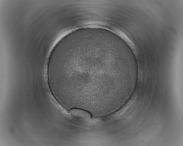 X0000111911384200908031129