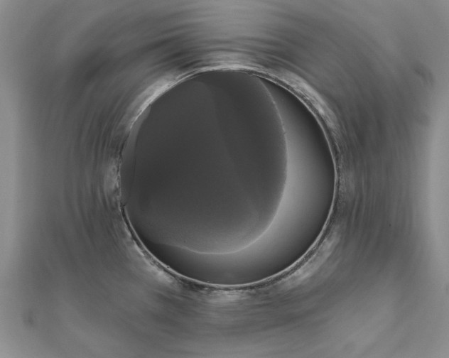 X0000111911385200908031129