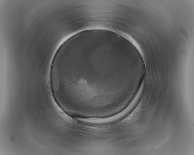 X0000111911388200908031129