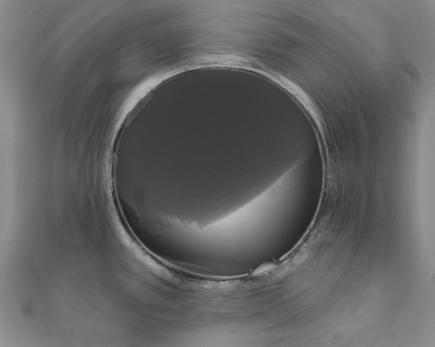 X0000111911389200908031129
