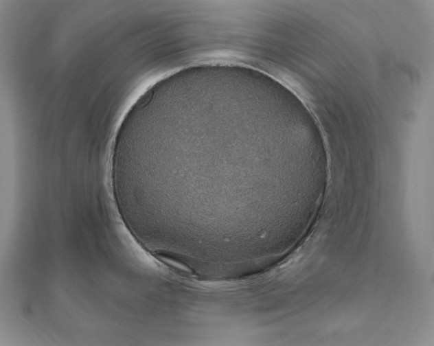 X0000111911392200908031129