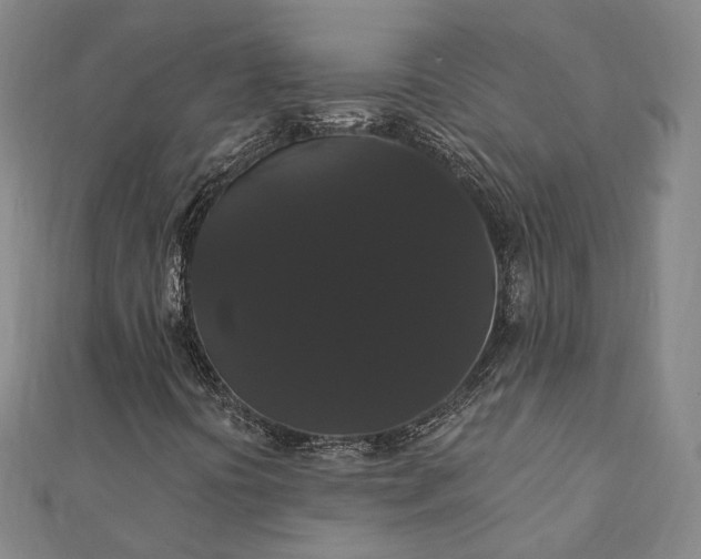 X0000111911394200908031128