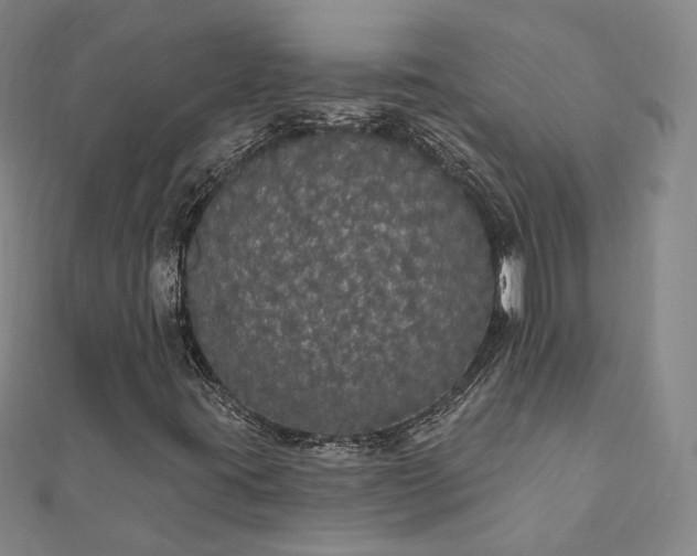 X0000111911395200908031128