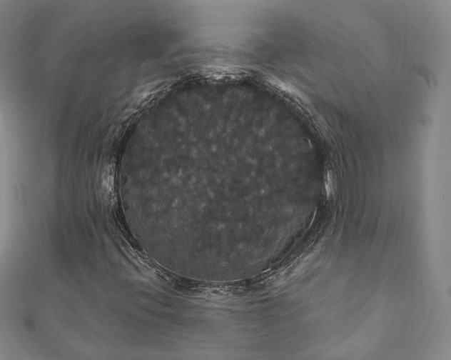 X0000111911396200908031128