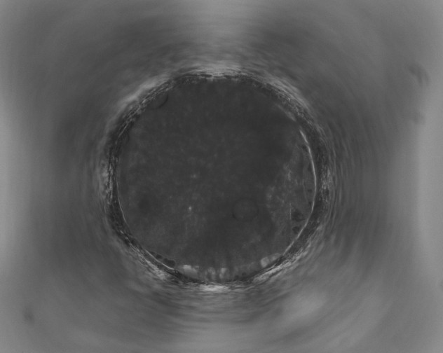 X0000111911398200908031128