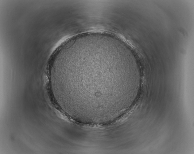 X0000111911400200908031128