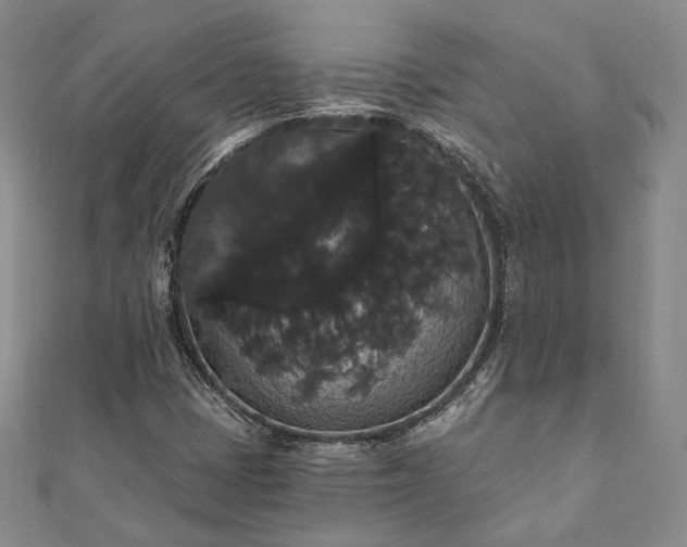 X0000111911401200908031128