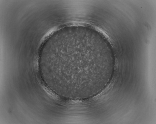 X0000111911403200908031128