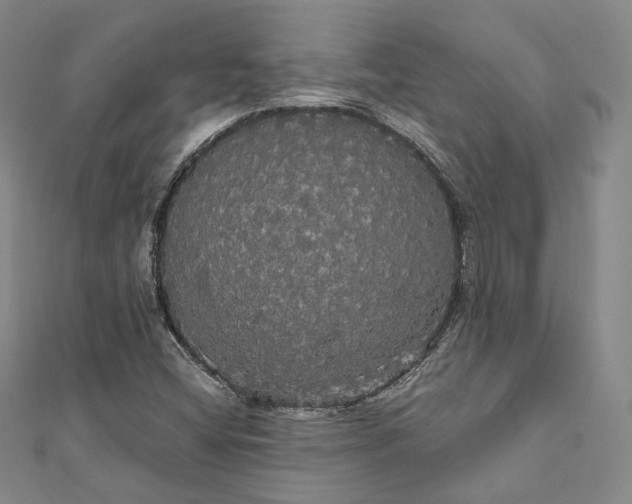 X0000111911404200908031128
