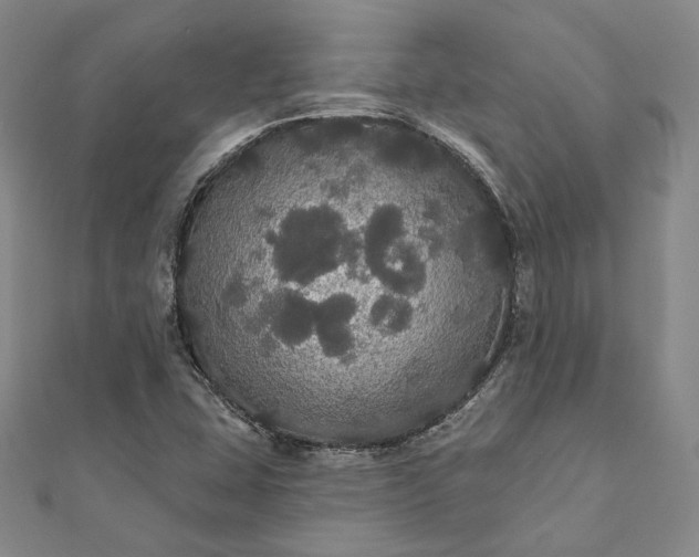 X0000111911407200908031128