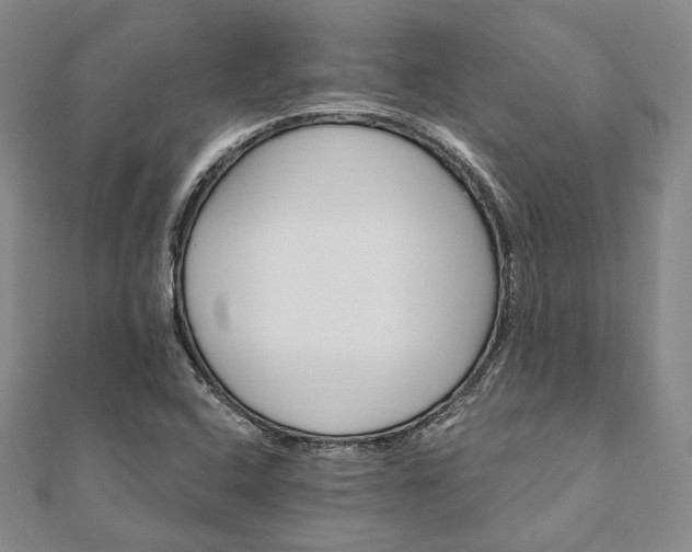 X0000111911408200908031128