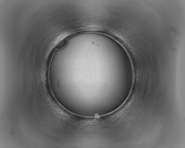 X0000111911410200908031128