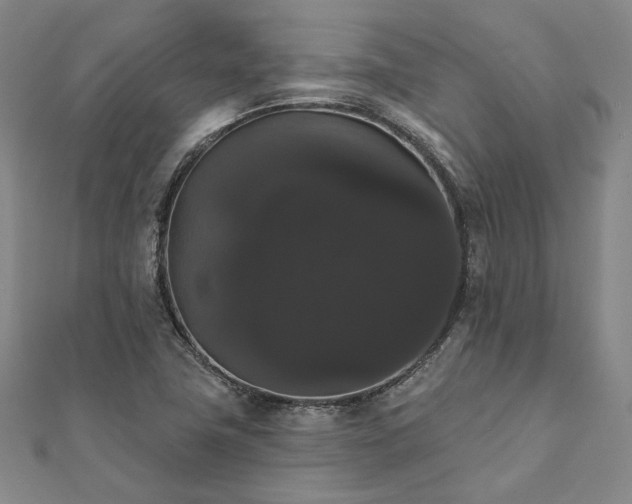 X0000111911411200908031128
