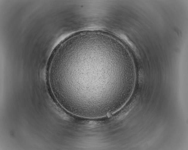 X0000111911412200908031128