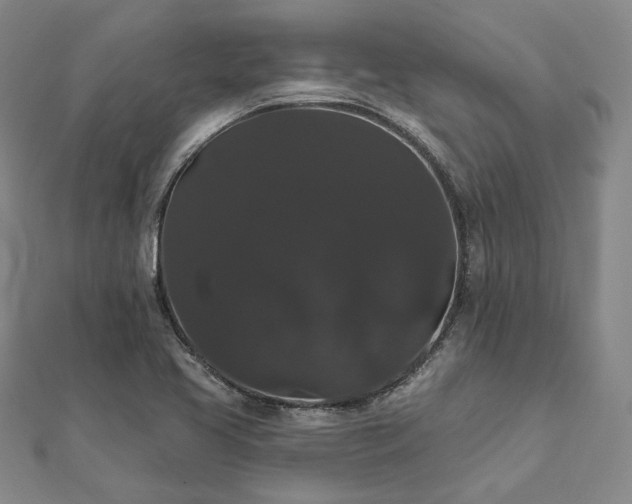 X0000111911413200908031128
