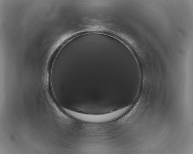 X0000111911414200908031128