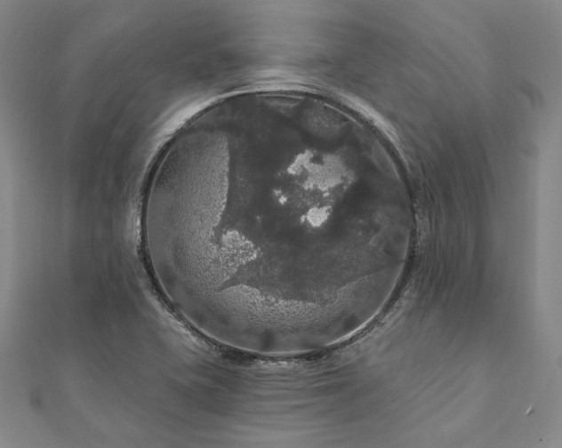 X0000111911415200908031128