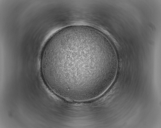 X0000111911416200908031128