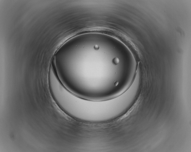 X0000111911417200908031128