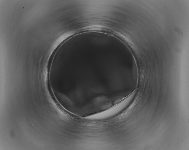 X0000111911418200908031128