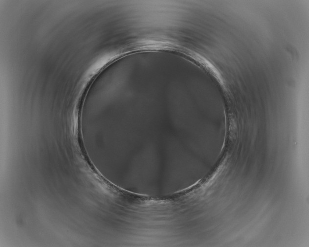 X0000111911419200908031128