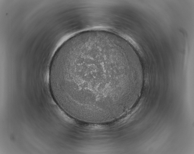 X0000111911420200908031128