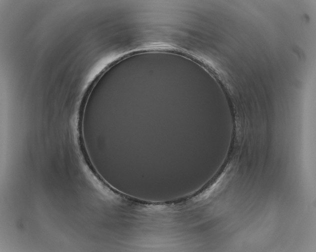 X0000111911422200908031129