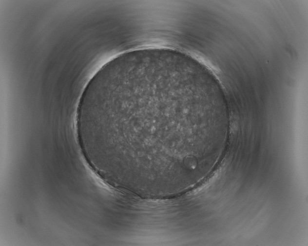 X0000111911423200908031129