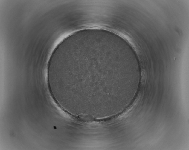X0000111911424200908031129
