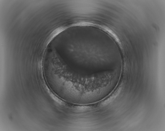 X0000111911425200908031129