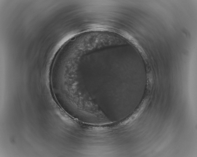 X0000111911427200908031129