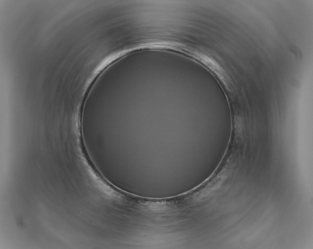 X0000111911428200908031129