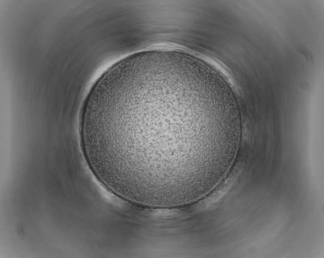X0000111911430200908031129