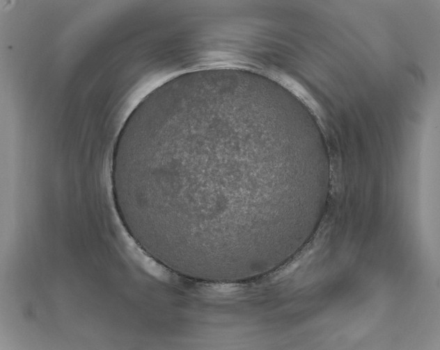 X0000111911431200908031129