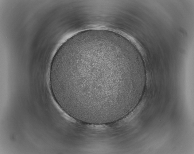 X0000111911432200908031129