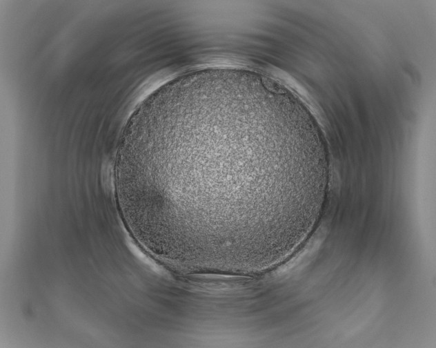 X0000111911433200908031129
