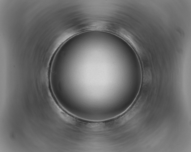 X0000111911434200908031129
