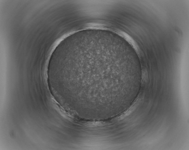X0000111911435200908031129