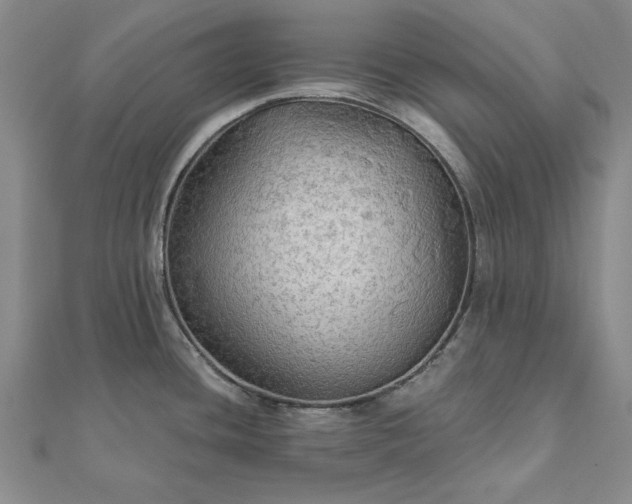 X0000111911436200908031129