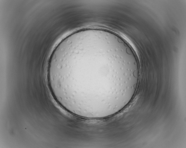 X0000111911437200908031129
