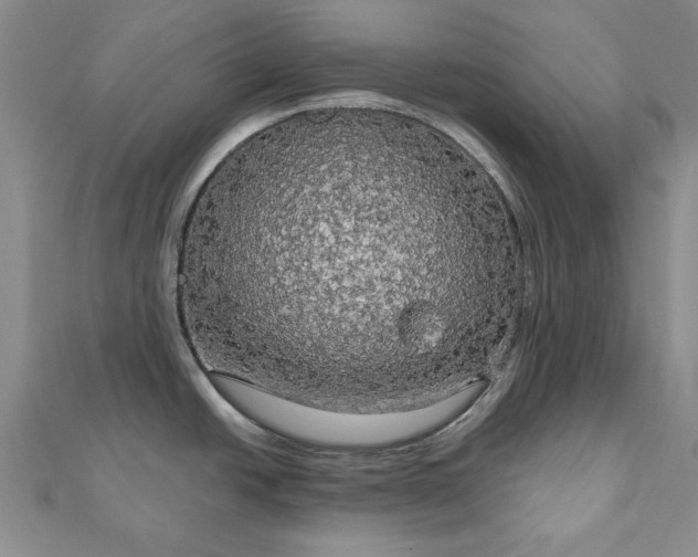 X0000111911438200908031129