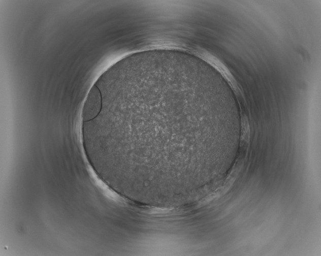 X0000111911439200908031129