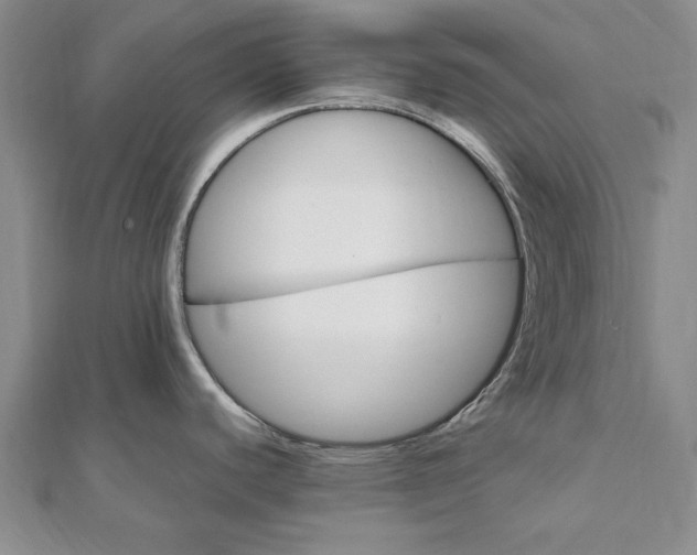 X0000111911440200908031129