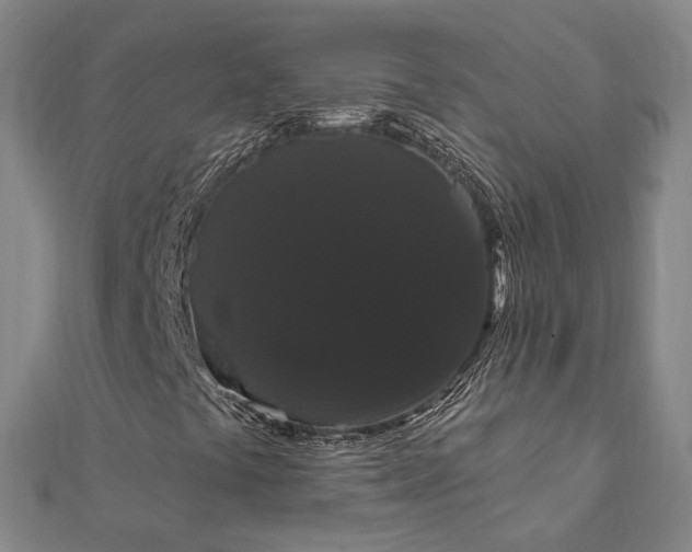 X0000111911441200908031128