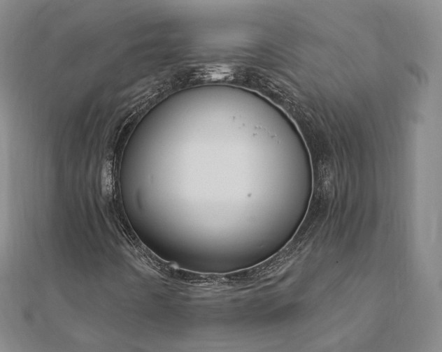 X0000111911442200908031128