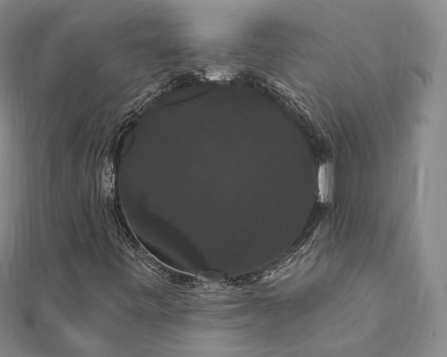 X0000111911443200908031128
