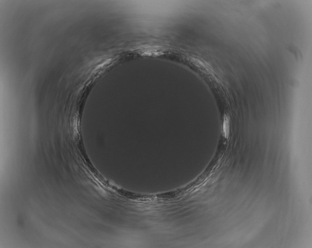 X0000111911444200908031128