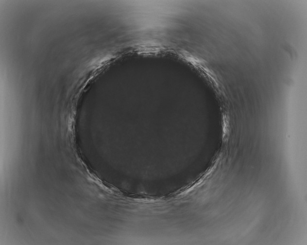 X0000111911445200908031128
