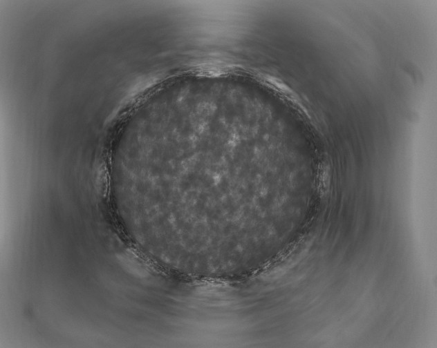 X0000111911446200908031128