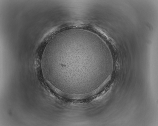 X0000111911447200908031128